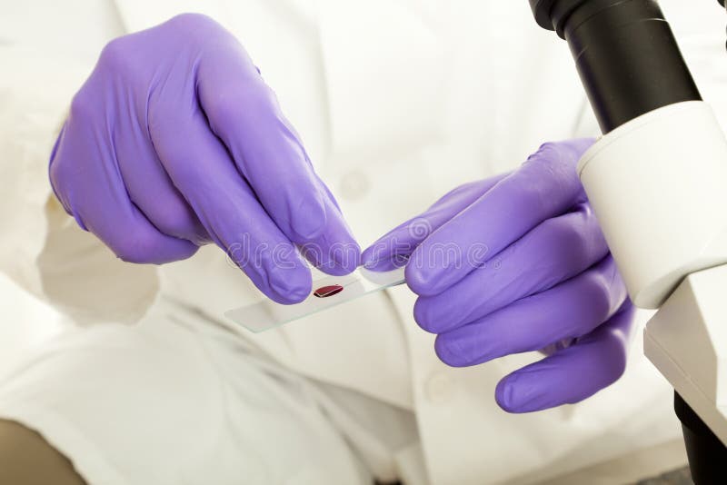 Analyzing Blood Sample stock photo. Image of science 13352344