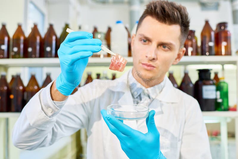Analyzing Results of Ambitious Scientific Project stock photo Analyzing Results of Ambitious Scientific Project stock photo