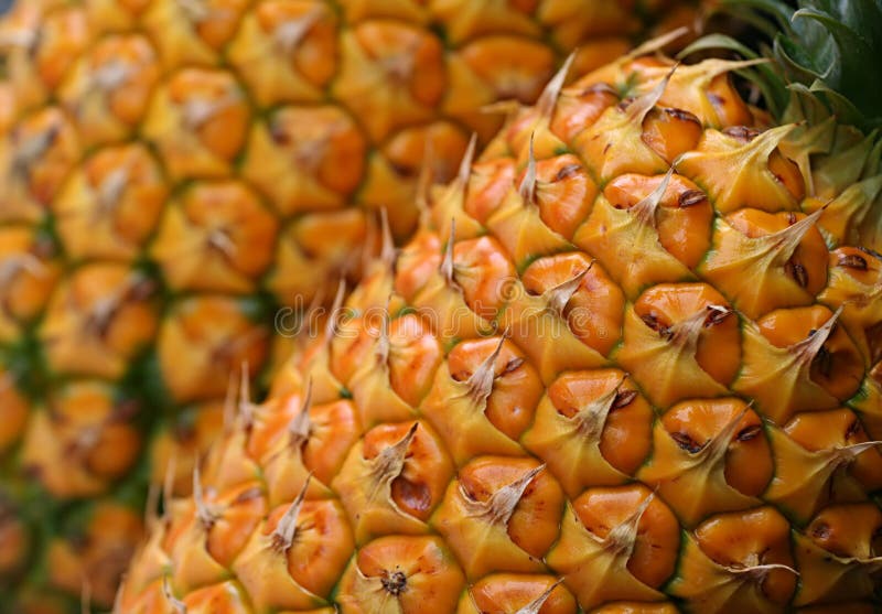Ananas photographie stock Ananas photographie stock