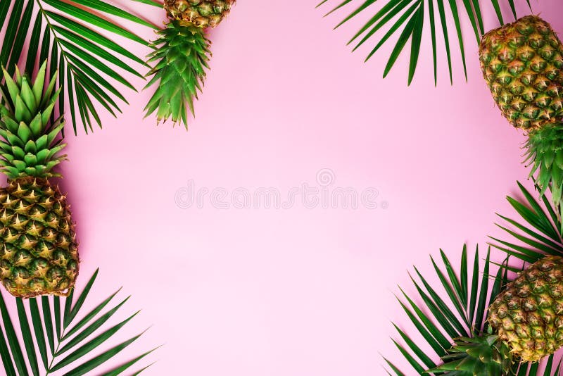 Ananas e foglie di palma tropicali sul fondo punchy di rosa pastello Concetto di estate Disposizione piana creativa con lo spazio fotografia stock Ananas e foglie di palma tropicali sul fondo punchy di rosa pastello Concetto di estate Disposizione piana creativa con lo spazio fotografia stock