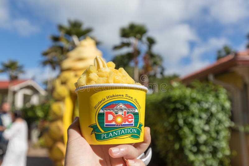Ananas-Eiscreme an der Dole-Ananas-Plantage in Wahiawa, Hawaii stockfoto Ananas-Eiscreme an der Dole-Ananas-Plantage in Wahiawa, Hawaii stockfoto