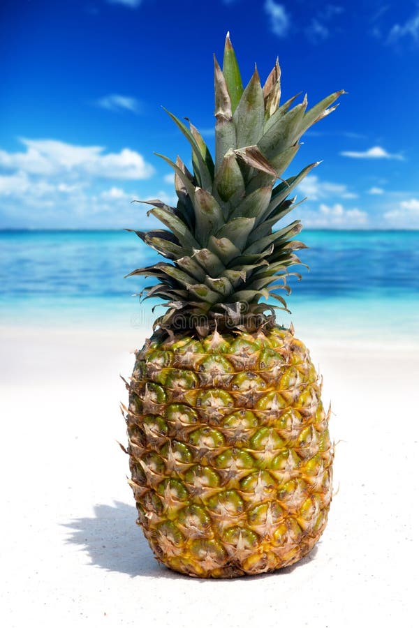 Ananas-Frucht Auf Dem Tropischen Strand Stockbild - Bild von frucht ...