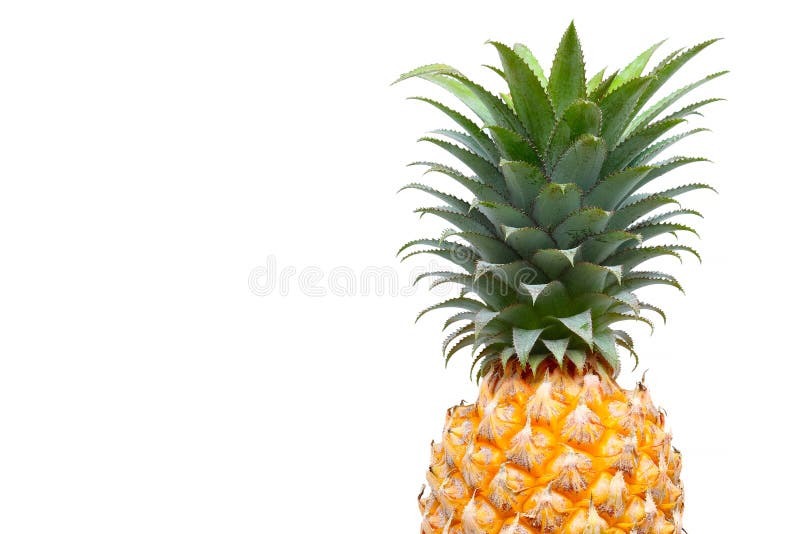 Ananas op witte achtergrond stock afbeelding Ananas op witte achtergrond stock afbeelding