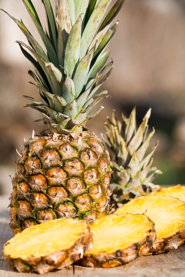 Ananas stock photo. Image of delicious, summer, pineapple 98003238