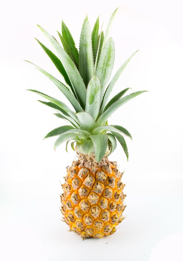Ananas witte achtergrond royalty-vrije stock afbeeldingen