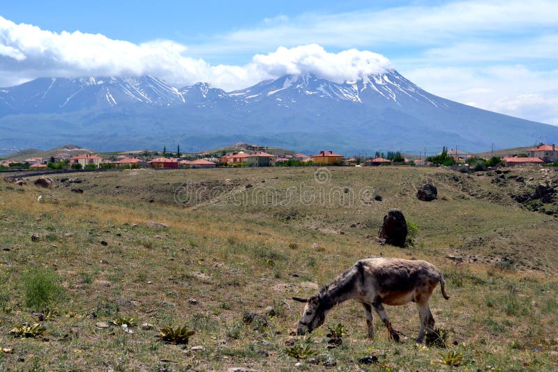 Anatolia