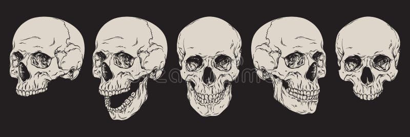 Anatomically poprawne ludzkie czaszki ustawia? odizolowywa? R?ka rysuj?ca kreskowej sztuki wektoru ilustracja ilustracja wektor Anatomically poprawne ludzkie czaszki ustawia? odizolowywa? R?ka rysuj?ca kreskowej sztuki wektoru ilustracja ilustracja wektor