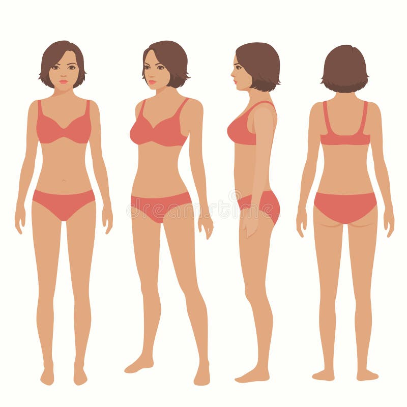 Anatomie de corps humain, avant, dos, vue de côté illustration de vecteur Anatomie de corps humain, avant, dos, vue de côté illustration de vecteur