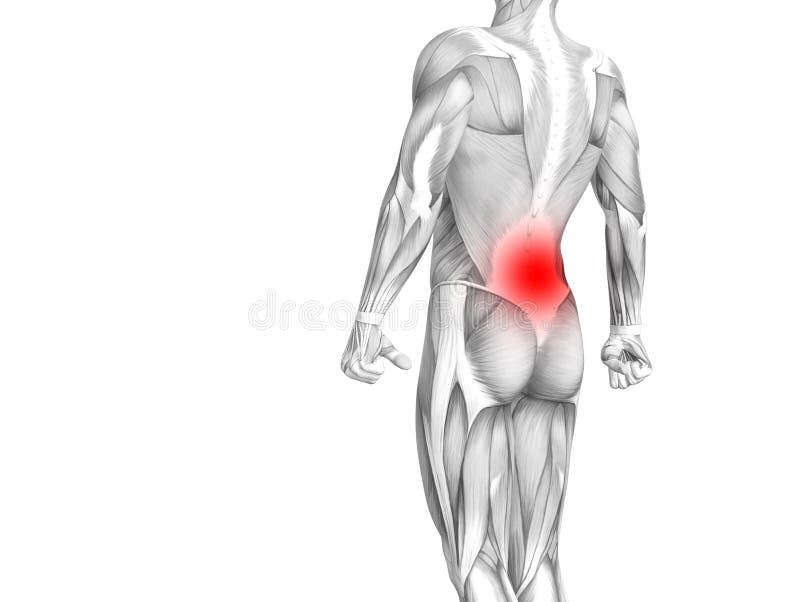 Anatomie humaine arrière avec l'inflammation d'un rouge ardent de tache illustration de vecteur Anatomie humaine arrière avec l'inflammation d'un rouge ardent de tache illustration de vecteur