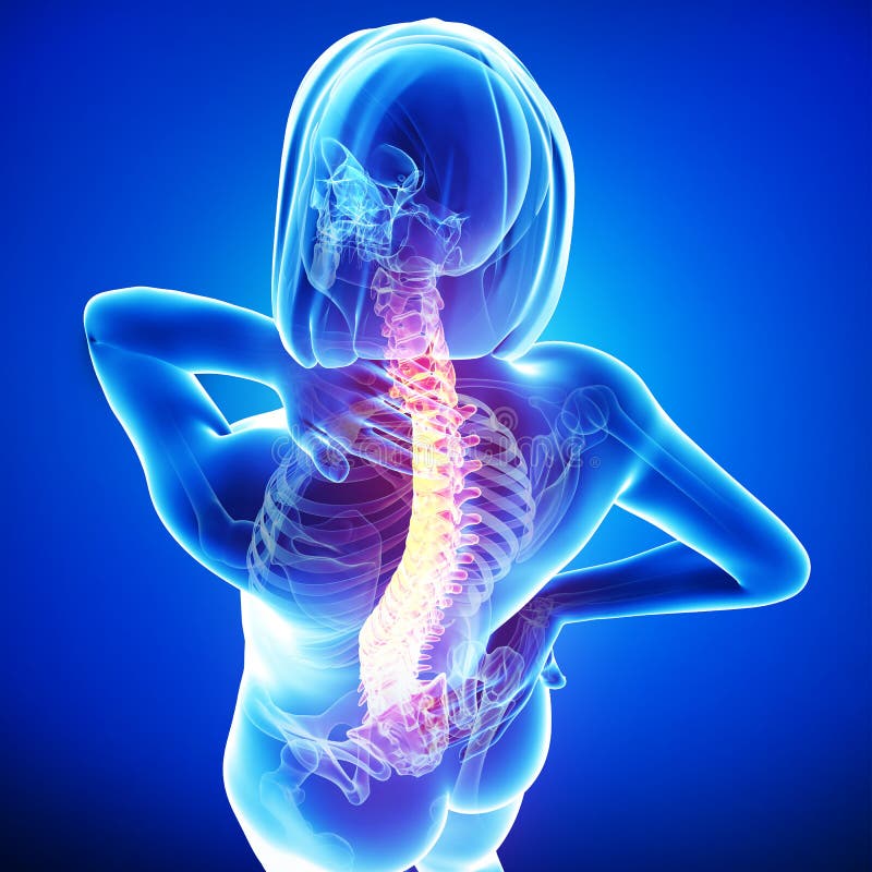 Anatomy of female back pain stock illustration