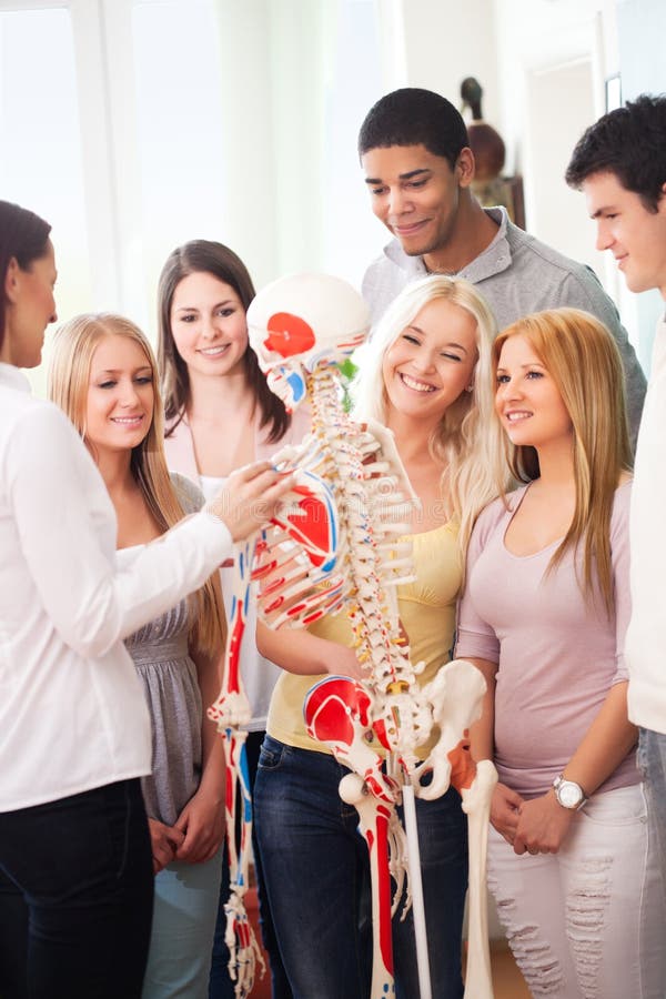 Anatomy Lesson Stock Photo Image Of Casual Education 30914178