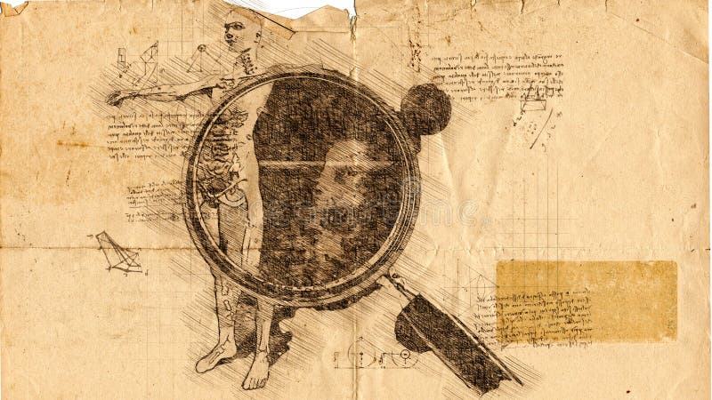 Anatomy - Leonardo da Vinci - Pivada.com