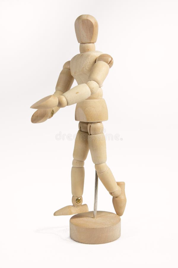 Anatomy wooden stock image. Image of model, white, doll 41091741