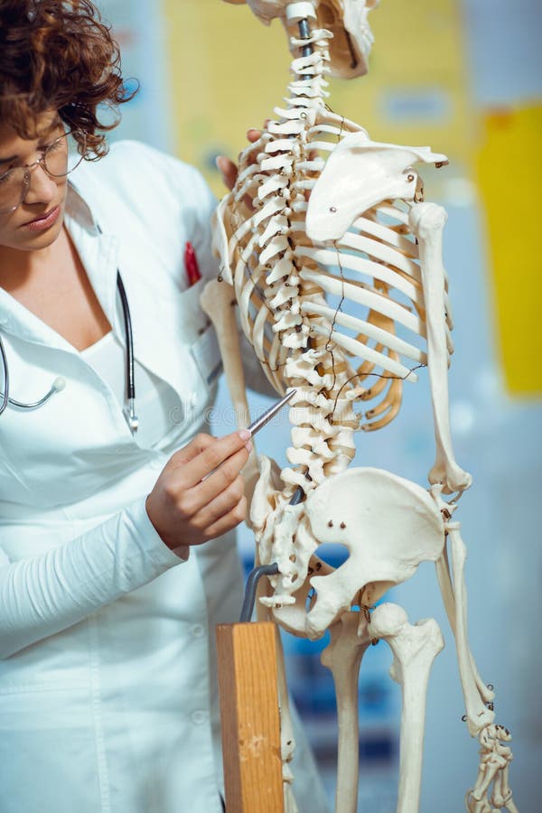 Anatomía de enseñanza de la mujer del médico usando el esqueleto humano imagen de archivo libre de regalías Anatomía de enseñanza de la mujer del médico usando el esqueleto humano imagen de archivo libre de regalías