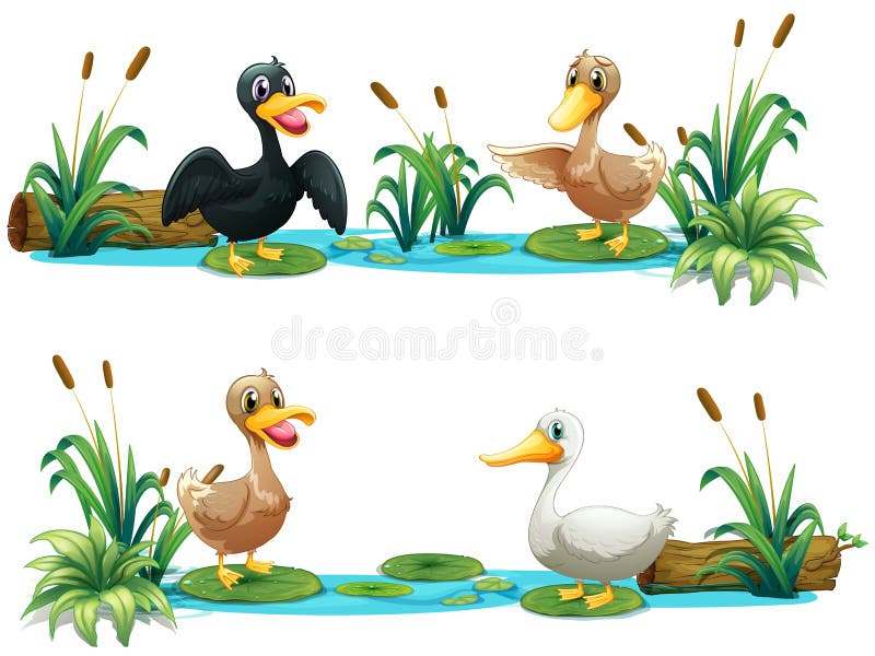 Anatre che vivono nello stagno illustrazione di stock Anatre che vivono nello stagno illustrazione di stock