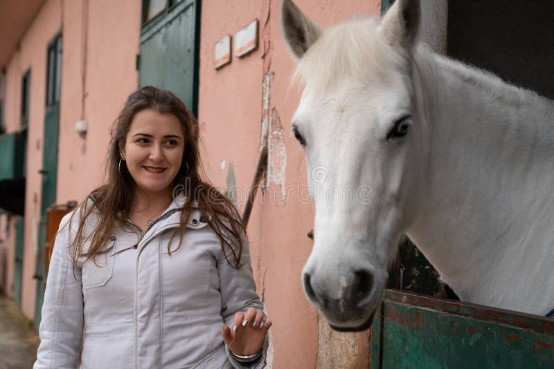 Cavalo Que Olha Para a Frente Imagem de Stock - Imagem de beleza, porta:  108436819