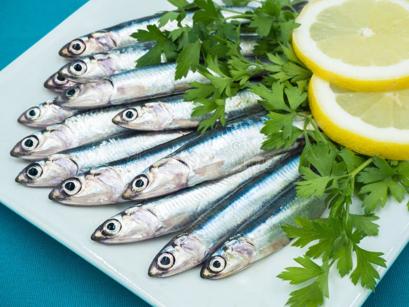 Anchovas frescas em uma placa imagens de stock Anchovas frescas em uma placa imagens de stock