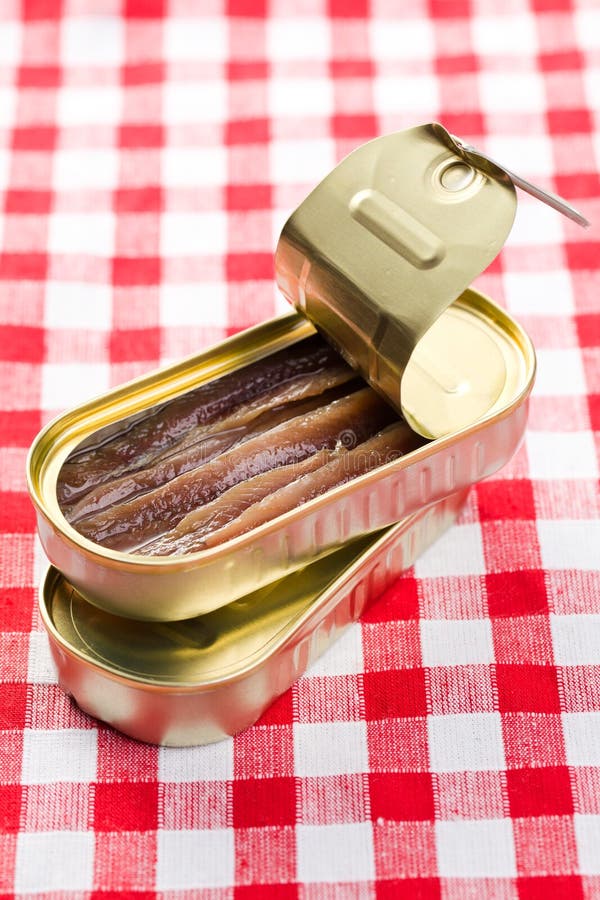Anchovies Fillets in Tin Can Stock Image Image of cooked, matured