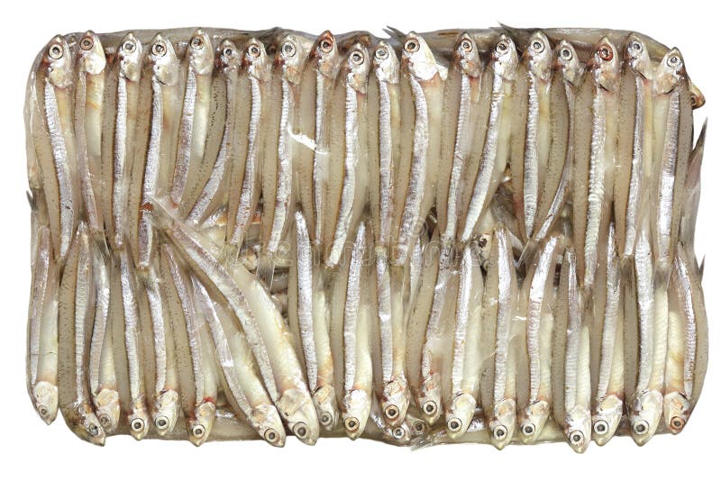 Anchovy stock image. Image of eating, tasty, fishing, anchovy 3582421