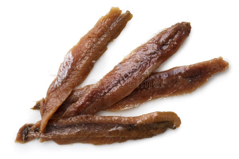 Anchovy fillets. stock image. Image of seafood, white 66764447
