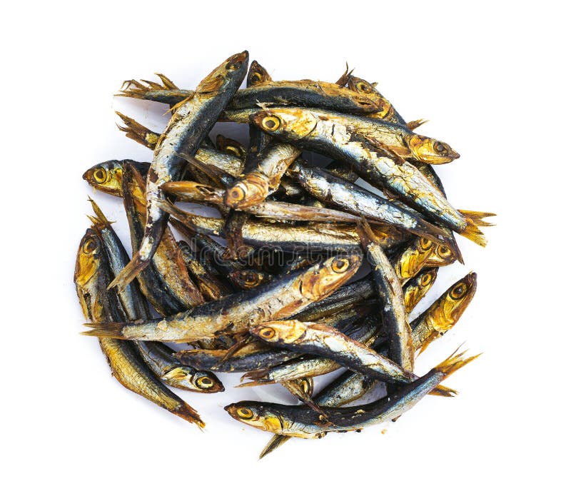Anchovy Fishes Smoked, Isolated on White Stock Image Image of little