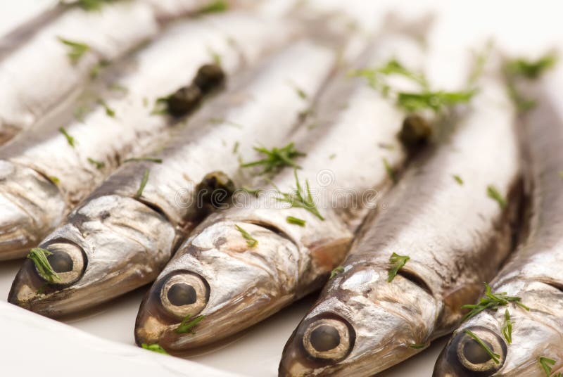 Anchovy stock photo. Image of dill, ring, appetizer, delicacy 17531234