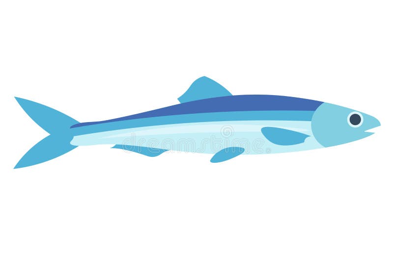 Anchovy Vector Illustration. Anchovy Fish on White Background. Anchovy