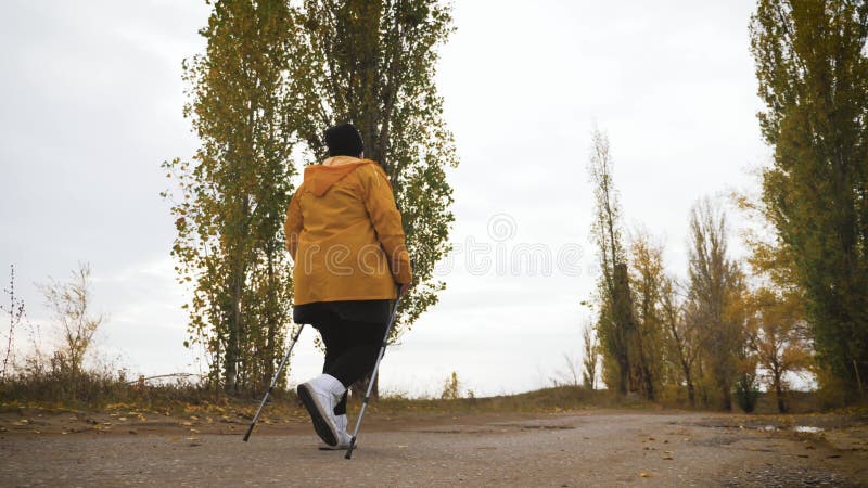 Anciana haciendo caminata nórdica en el bosque de otoño. carrera de senderismo nórdico en el camino del otoño. jubilados sanos