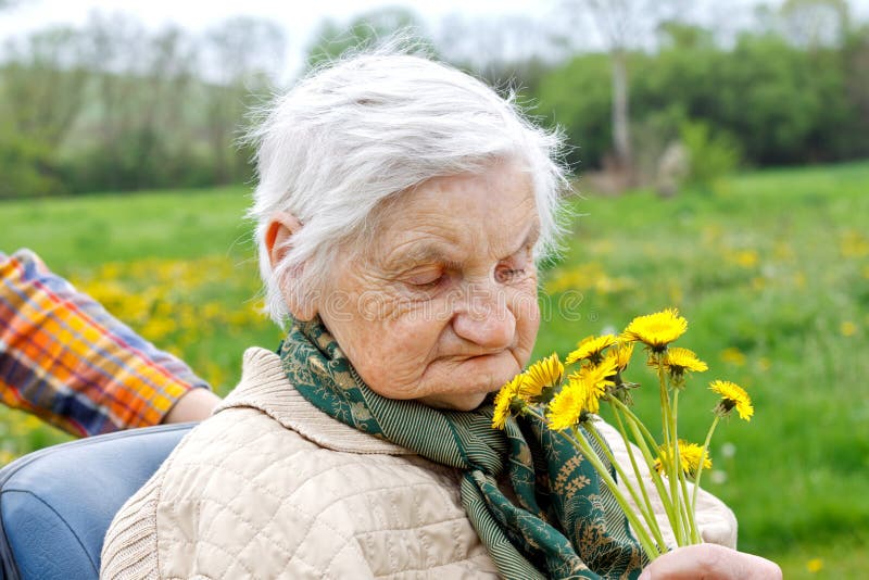 Ancianos Felices Foto De Archivo Imagen De Envejecimiento 40669808