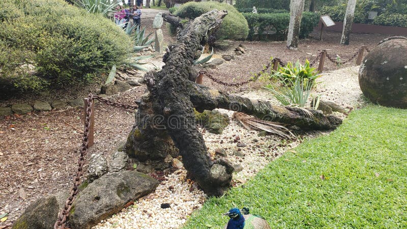 Ancienne ancre de navire vieux côtés de fer photos libres de droits