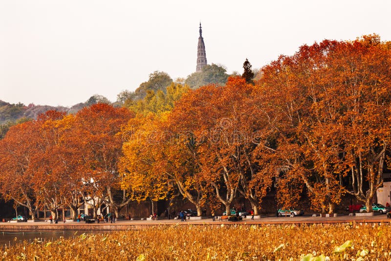 Ancient Baochu Pagoda Autumn West Lake Hangzhou Zhejiang China