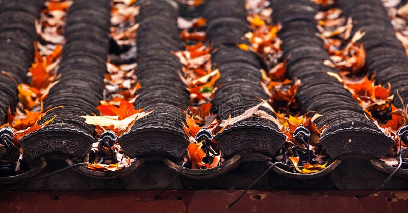 Ancient Chinese House Roof Tiles West Lake Hangzhou China