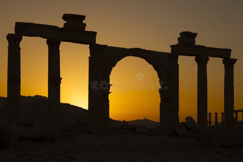 Ancient columns - Palmyra