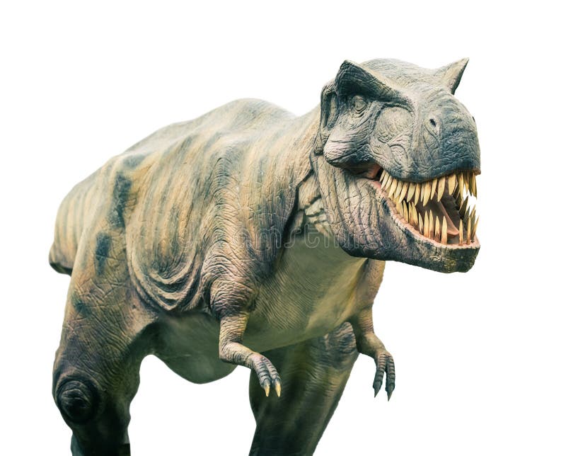Ancient extinct dinosaur tyrannosaurus isolated on a white background