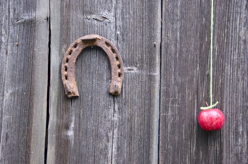 Ancient horseshoe and red apple on old wooden barn wall royalty free stock photo