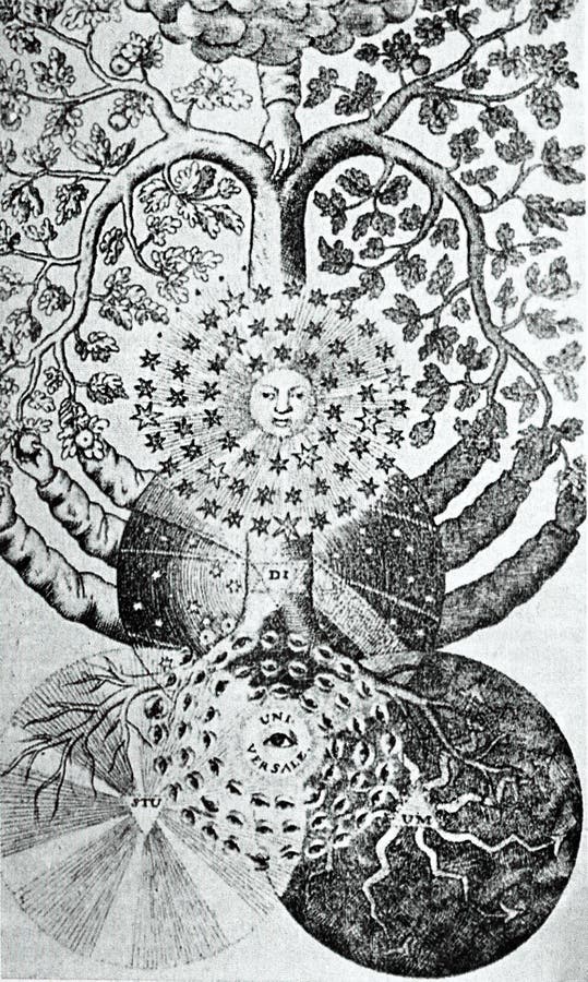 Ancient image of the tree of knowledge taken from valentin weigel`s universal studium