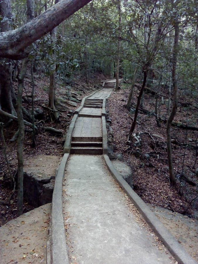 An ancient rock cut way to a palace