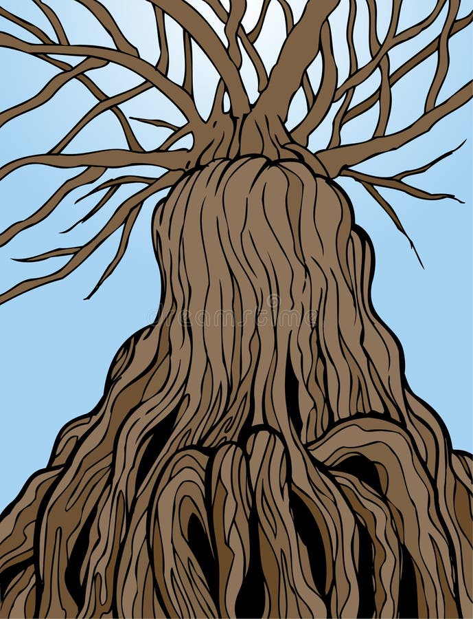 Ancient Tree stock illustration