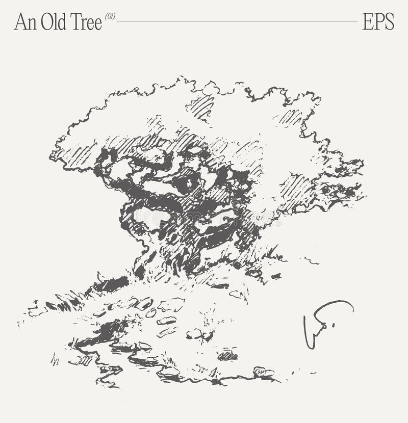 An ancient tree on a blank canvas. Hand drawn vector illustration, sketch. vector illustration