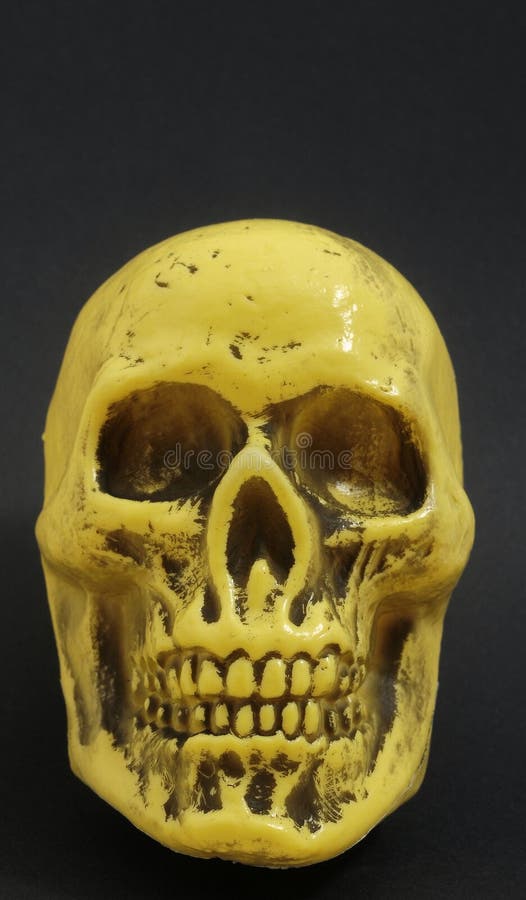 Yellow Skull stock photo. Image of object, medicine 245384034