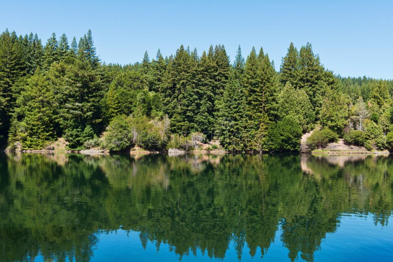 Anderson Lake stock image. Image of landscape, biome 71592367