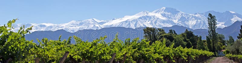 Pohľad z Ánd prevzaté z dôvodov Lujan de Cuyo vinice v provincii Mendoza, Argentína.
