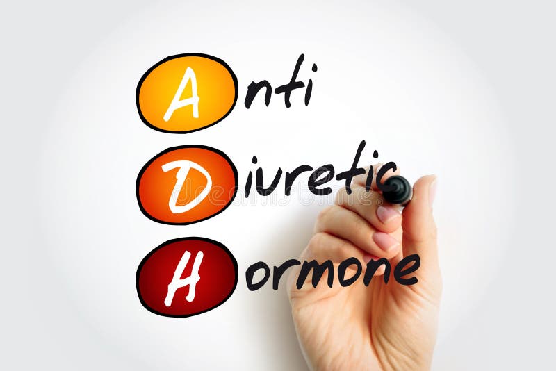 Andh hormone antidiurétique non apeptide synthétisée dans le texte de l'acronyme d'hypothalamus