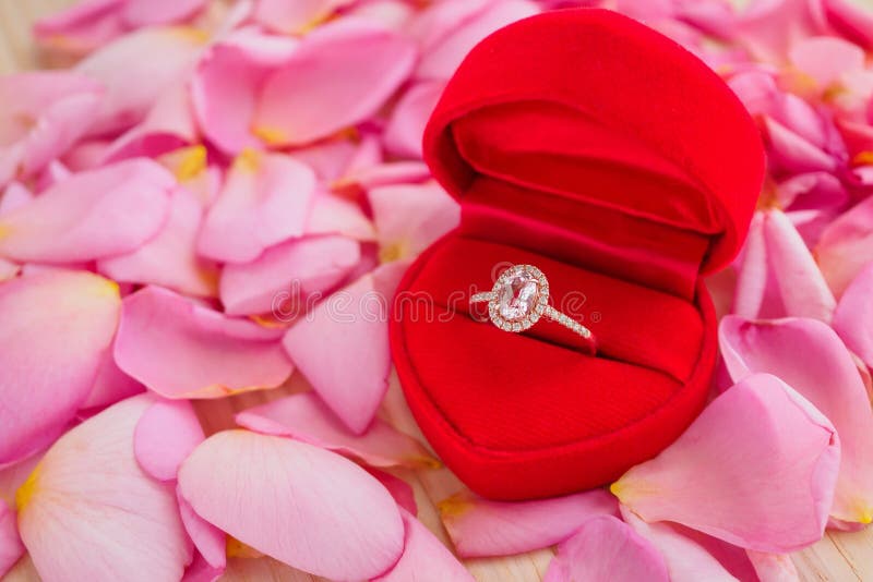 Anello di diamante elegante di nozze in contenitore di gioielli del cuore sul bello fondo rosa del petalo rosa immagine stock Anello di diamante elegante di nozze in contenitore di gioielli del cuore sul bello fondo rosa del petalo rosa immagine stock