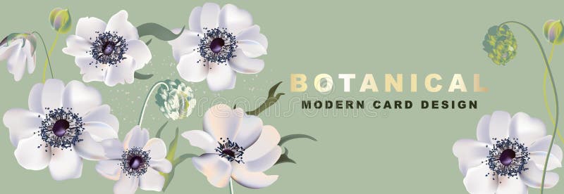 Anemones  realitic floral header, Vector 2020. Watercolor flower bloom plent design for cosmetics, spa, perfume, health care