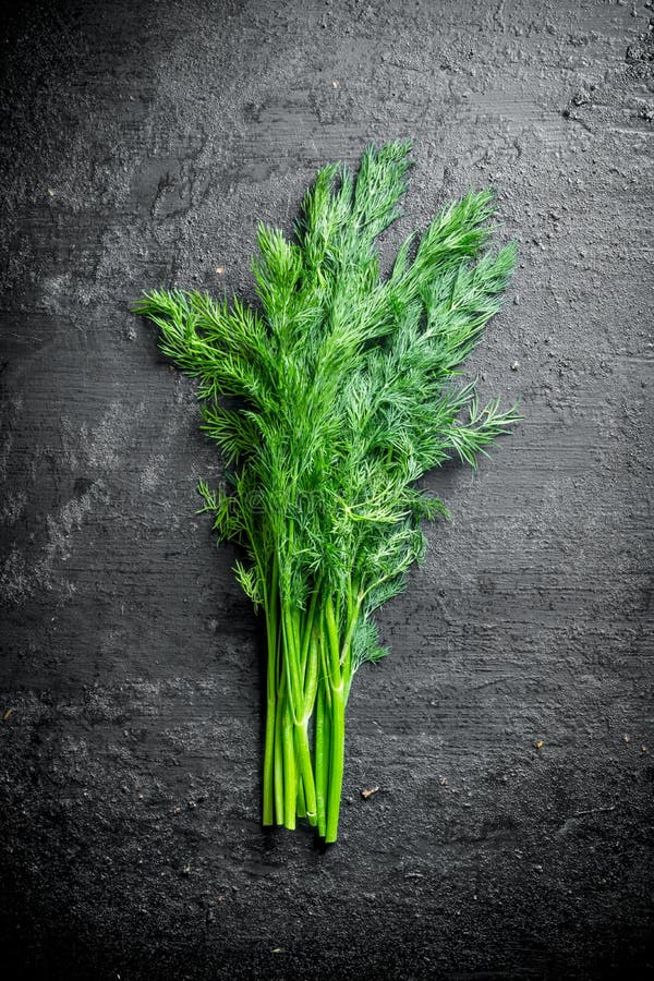 Aneth vert frais photo stock