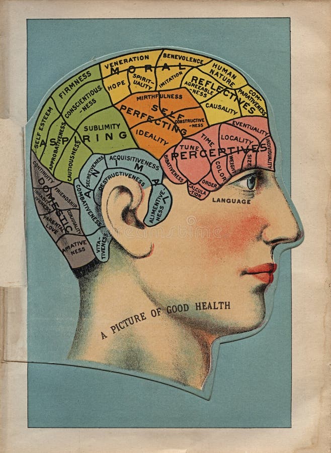 Anfang des 20. Jahrhunderts Brain Area Illustration