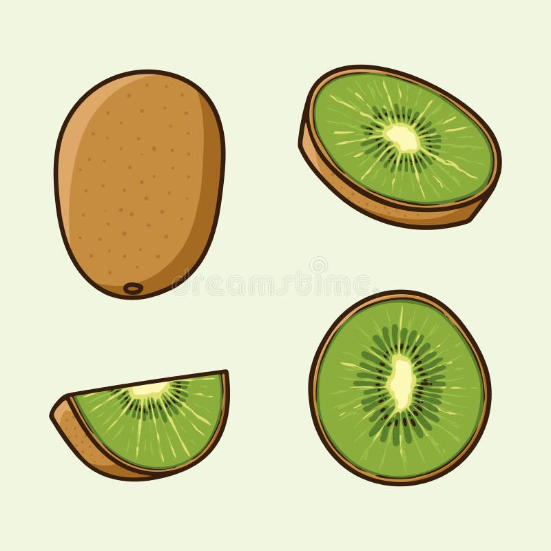 Set Different angles of Kiwi fruit Cartoon Vector isolated Set Different angles of Kiwi fruit Cartoon Vector isolated. Set Different angles of Kiwi fruit Cartoon Vector isolated Set Different angles of Kiwi fruit Cartoon Vector isolated