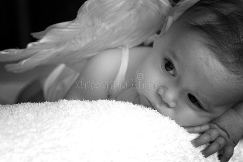 373 Praying Baby Angel Stock Photos Free & RoyaltyFree Stock Photos