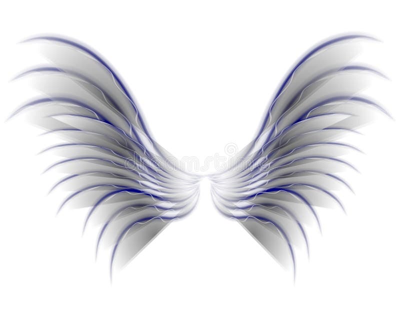 Angel Bird or Fairy Wings Grey